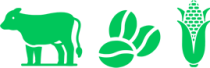 Provalia